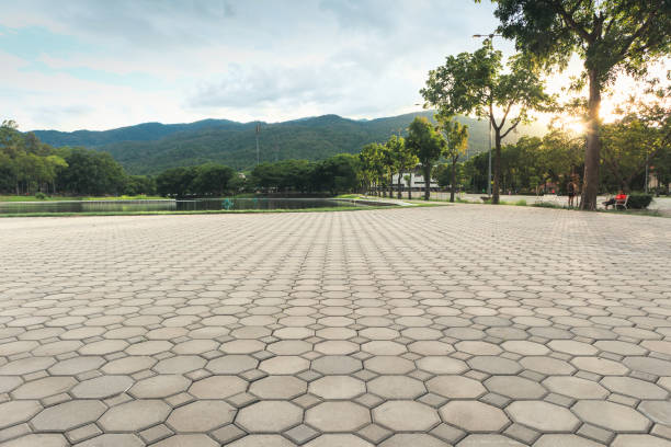 Best Decorative Driveway Pavers  in Leisure World, MD
